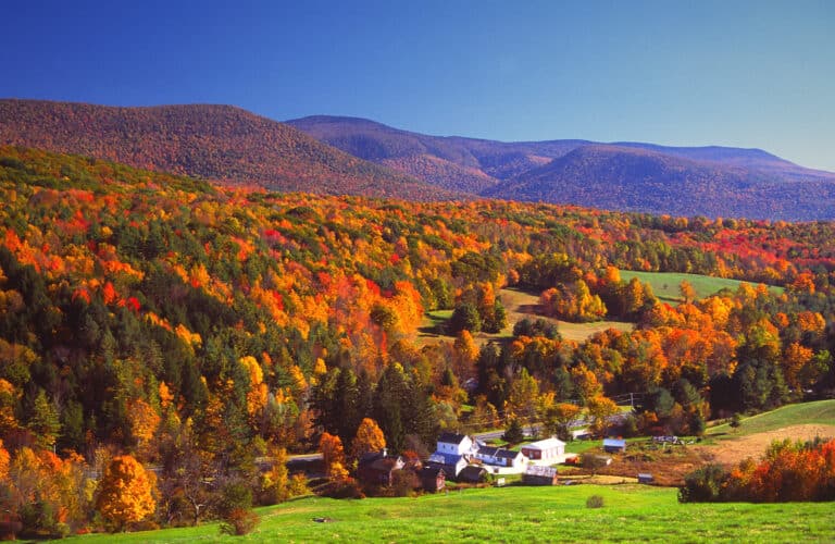 Massachusetts Fall Foliage